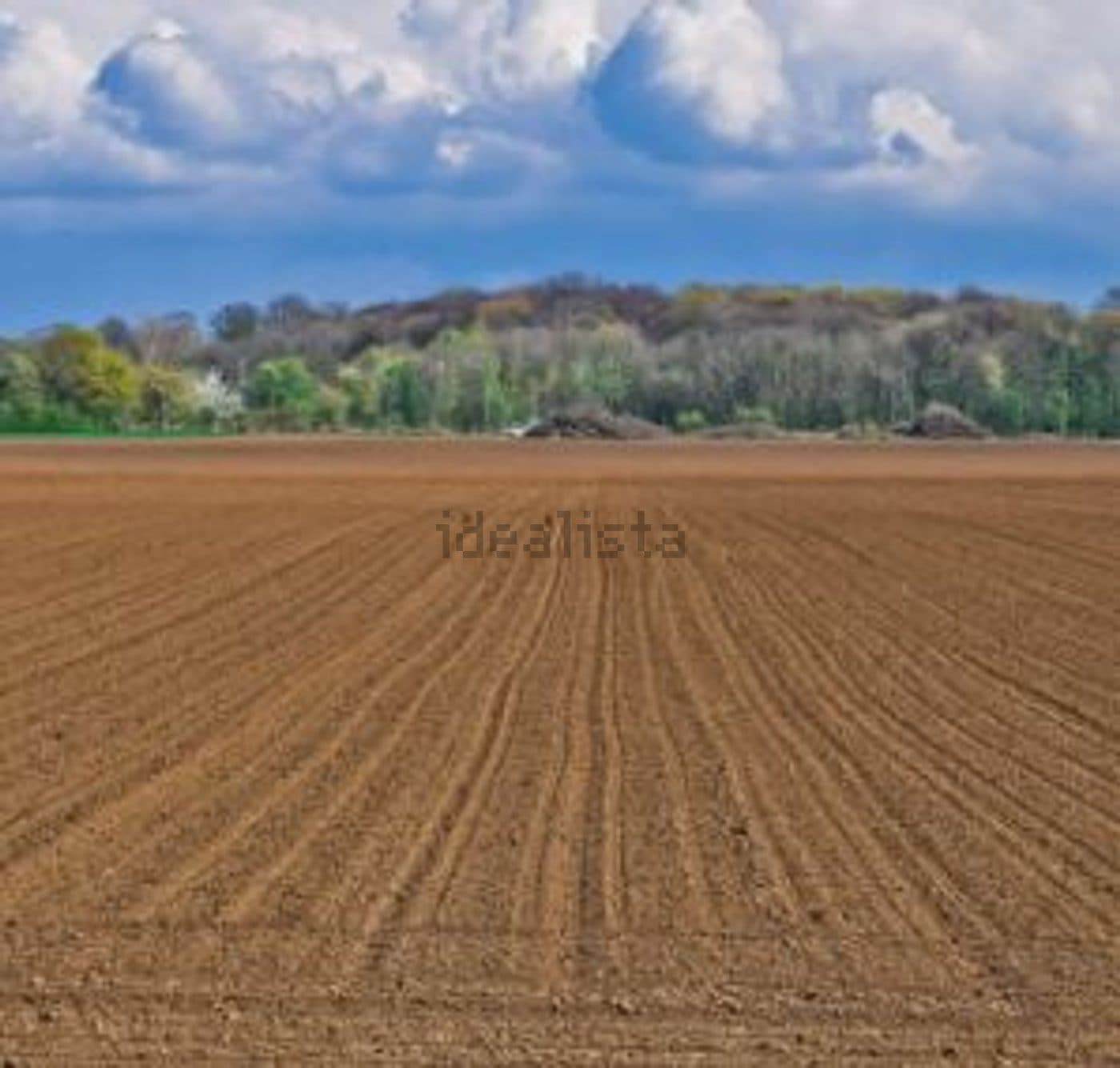 Terreno agricolo a Castelfranco Veneto — foto 1